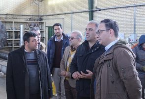 ظرفیت های بالقوه شهرک صنعتی ماهدشت را باید بالفعل کرد