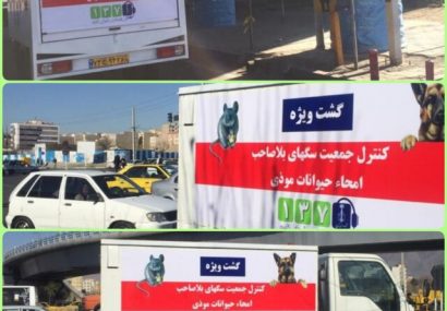 ایجاد گشت ویژه سگ‌های بلاصاحب در کرج