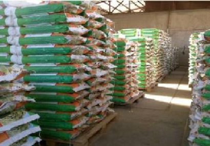 کشف ۳۹۰ تن ذرت خارجی قاچاق به ارزش ۱۲ میلیارد ریال در نظرآباد