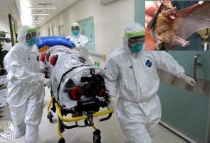 ۵۹ فوتی و مشکوک به کرونا در البرز