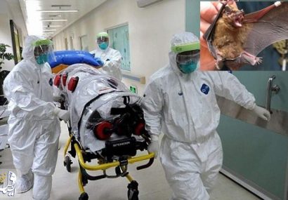 ۵۹ فوتی و مشکوک به کرونا در البرز