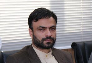 بازداشت عوامل قطع ۶ اصله درخت در مشکین‌دشت فردیس