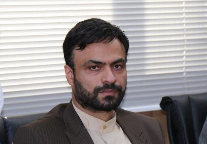 بازداشت عوامل قطع ۶ اصله درخت در مشکین‌دشت فردیس