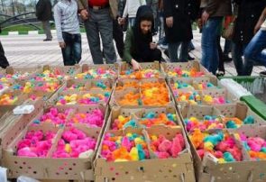 انتظار تخم دو زرده از جوجه رنگی‌ها نداشته باشید!