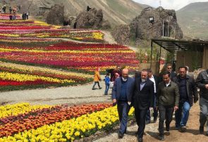 دشت لاله های کندر گنجینه گردشگری کرج / بسته های گردشگری شناسنامه توسعه توریسم در مناطق اجرایی شود