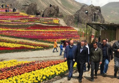 دشت لاله های کندر گنجینه گردشگری کرج / بسته های گردشگری شناسنامه توسعه توریسم در مناطق اجرایی شود