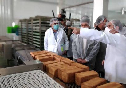 بازدید استاندار البرز از یک واحد تولید نان صنعتی در شهرک صنعتی نظر آباد