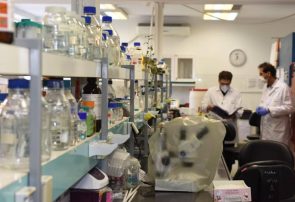 دانشمندان البرزی موفق به شناسایی ۳ ژن اصلی کووید ۱۹ شدند