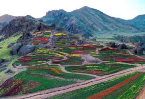 سفر مجازی دانش آموزان البرز به باغ لاله های کندر