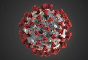 ۳۴۱ البرزی بر اثر ابتلا به کرونا فوت کرده‌اند