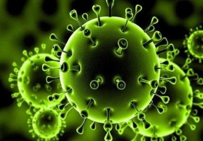 البرز، وارد پیک دوم کرونا ویروس شد/ افزایش آمار بستری و مرگ و میر