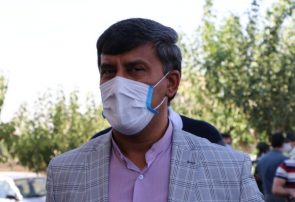 عرصه های فضای سبز فردیس شناسنامه دار می شوند