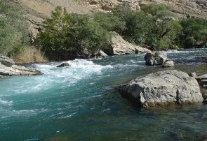 انتقال آب رودخانه کرج به تهران/ اکوسیستم فدای چند متر مکعب آب نشود