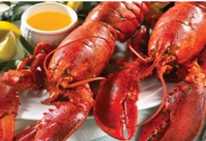 خرچنگ ، موجب پلمب یک رستوران در فردیس شد