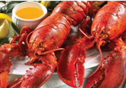 خرچنگ ، موجب پلمب یک رستوران در فردیس شد