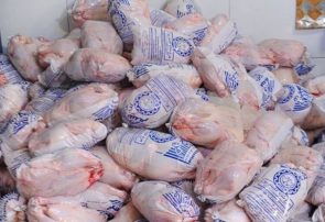 توزیع مرغ منجمد در فردیس آغاز شد