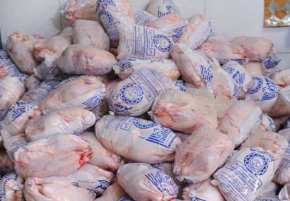 توزیع مرغ منجمد در فردیس آغاز شد