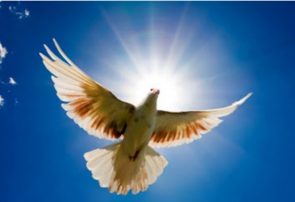 ۷۵ زندانی غیرعمد آزاد شدند