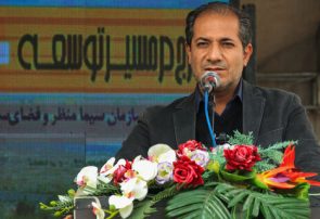 ۳۰ درصد درختان شهر کرج نیاز به هرس دارند