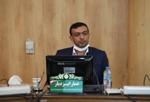 پژوهش‌ها در کتابخانه‌ها خاک می‌خورند