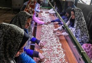 طرح های اشتغال محور در روستاهای البرز حمایت می شوند