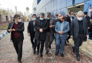 نماینده مجلس : اقتصاد دانش بنیان برای کشور درآمدزا است