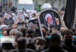 خدمات آیت الله ری شهری در صیانت از نظام اسلامی ماندگار است