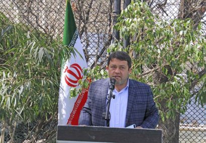 باغ لاله‌های کرج به روی علاقه مندان گشوده شد