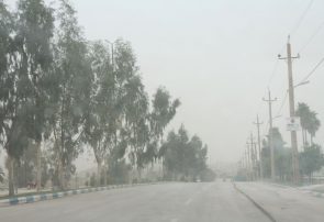 باد شدید سبب سقوط ۱۲ درخت و پنج ستون برق در کرج شد