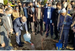 نهال ملی ایثار به یاد شهدا در البرز غرس شد