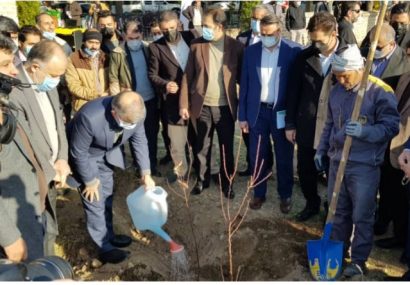 نهال ملی ایثار به یاد شهدا در البرز غرس شد