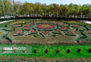 ۱۵ فروردین؛ آغاز هشتمین جشنواره لاله ها / برپایی جُنگ های شبانه / همه دعوت اید