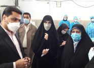 صنایع فردیس در صورت به کارگیری معتادان بهبود یافته تسهیلات دریافت می کند