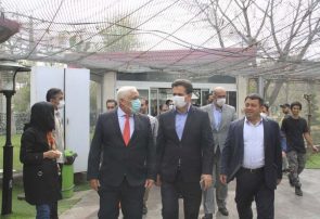 بهترین پیوند بین کشورها تعمیق ارتباطات فرهنگی است