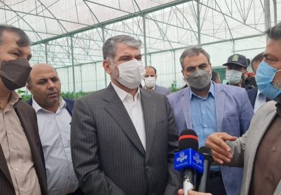 اختصاص ۶۰۰ میلیارد تومان برای حوزه های کشاورزی البرز