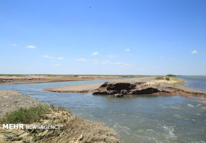 تالاب صالحیه مهمترین موضوع زیست محیطی البرز است
