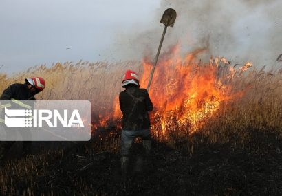 سوزاندن بقایای کشاورزی جرم محسوب می شود