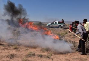 عملیات مهار آتش سوزی در تاغزارهای اشتهارد تمرین شد