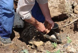 جمع‌آوری انشعابات غیرمجاز آب در احمدآباد ساوجبلاغ