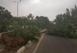 وزش تندباد و بارش رگباری برای البرز پیش بینی شد