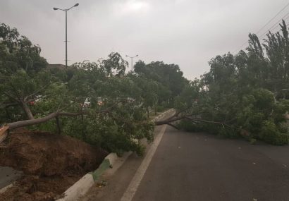 وزش تندباد و بارش رگباری برای البرز پیش بینی شد