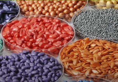 البرز ظرفیت تولید تمام بذور هیبرید مورد نیاز کشور را دارد