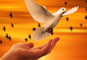 ۶ زندانی بدهکار مالی از زندان فردیس آزاد شدند