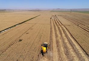 کشاورزی ایران استراتژی بلندمدت ندارد