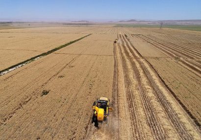 کشاورزی ایران استراتژی بلندمدت ندارد