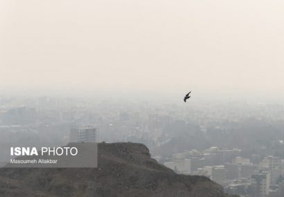 مدارس ابتدایی البرز فردا غیرحضوری شدند